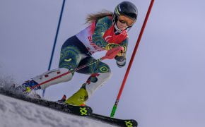 Para-alpine skiing