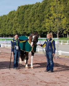 Australian Para-Equestrian Games team