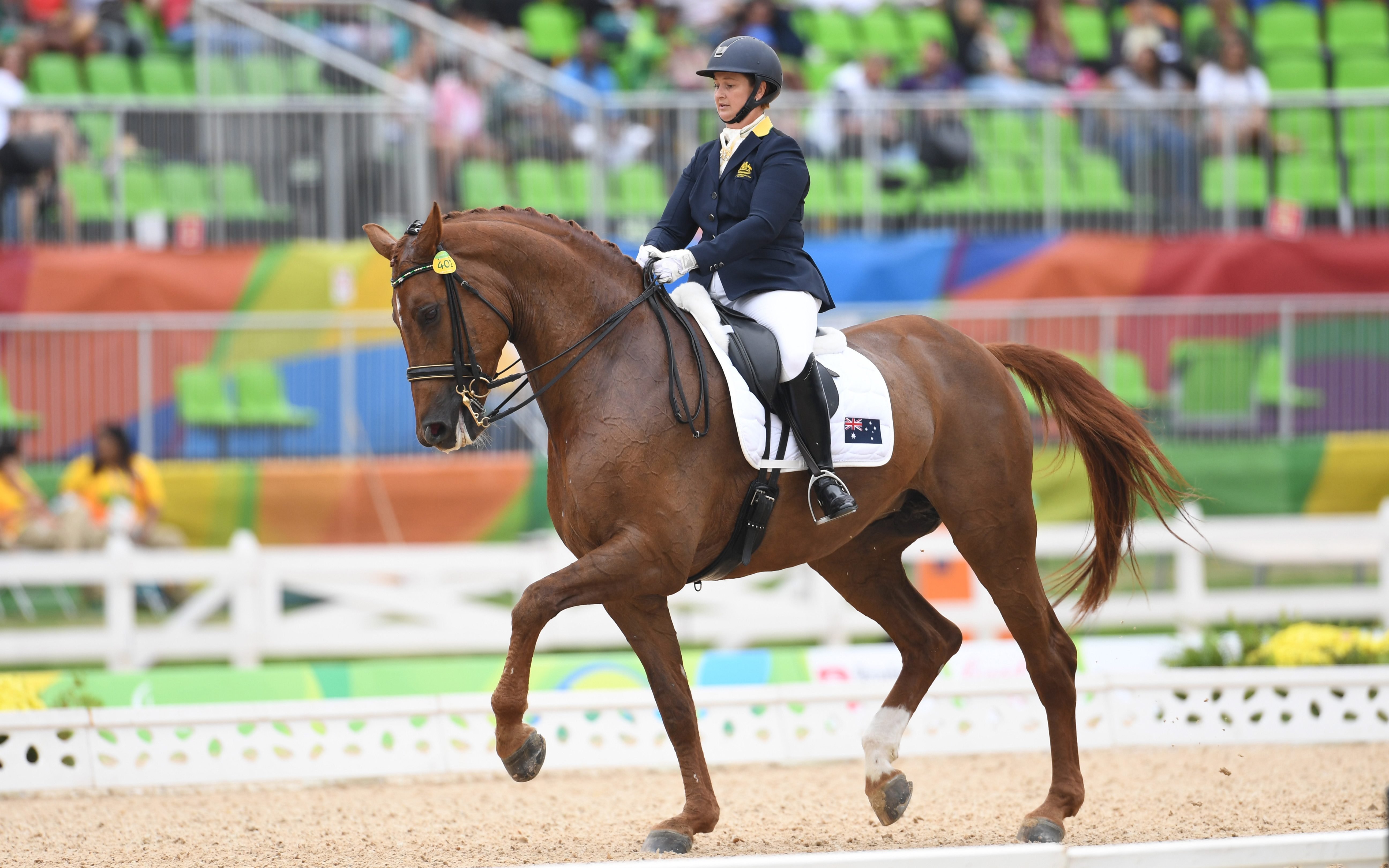 Para-dressage team test opens Sydney International Three-Day Event