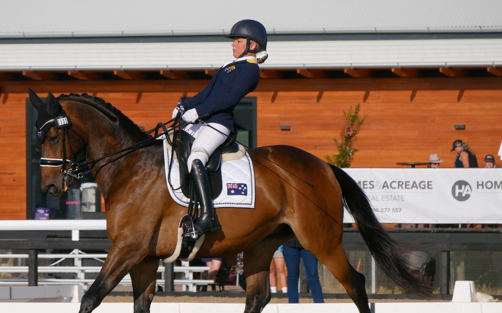 Para-equestrians on target for Tokyo