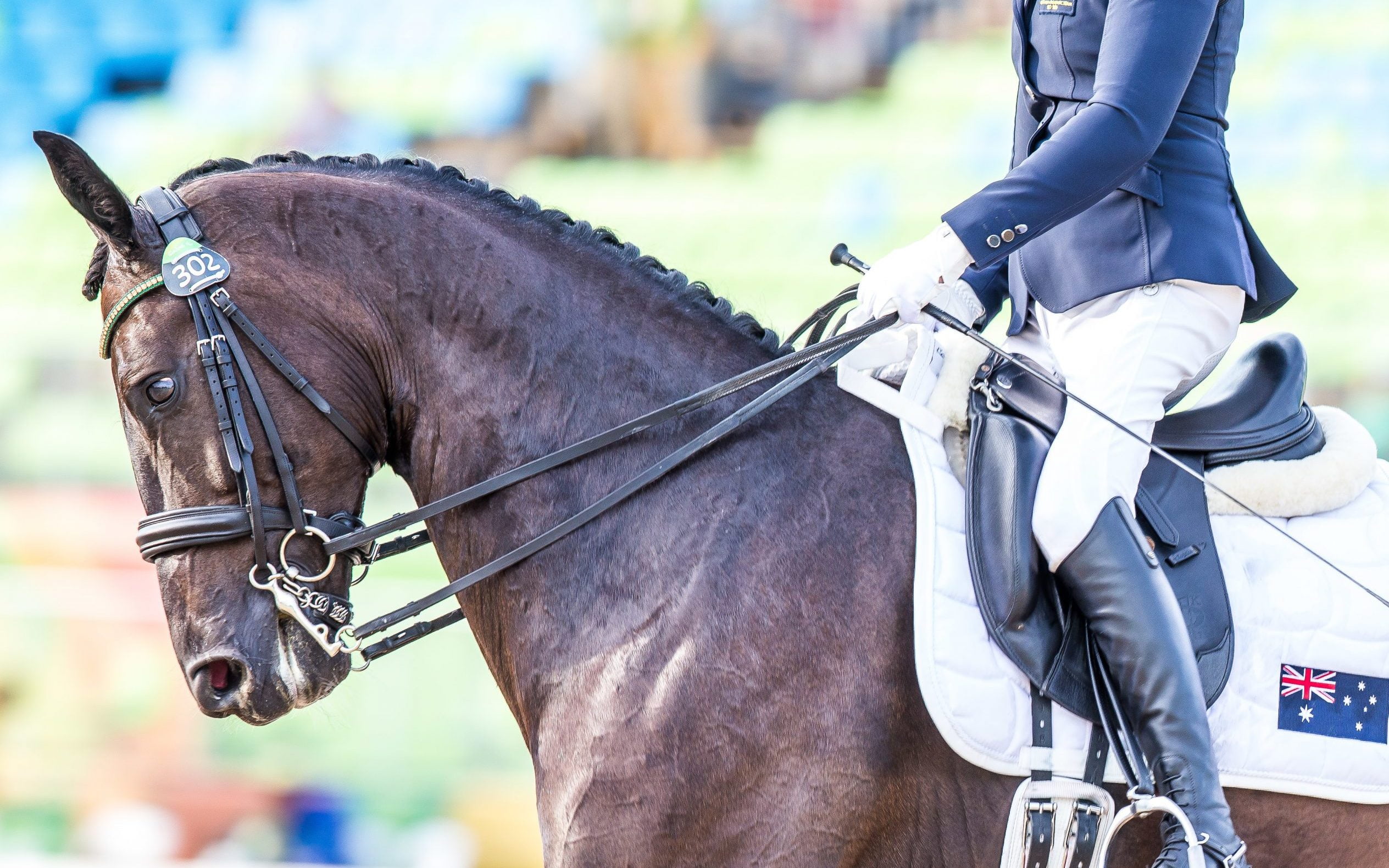 Para-equestrian classifier receives FEI nomination for International Women's Day awards