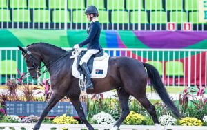 Image of Para-equestrian on a horse with all her gears on