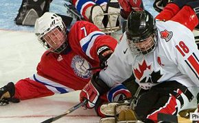 Para-ice hockey