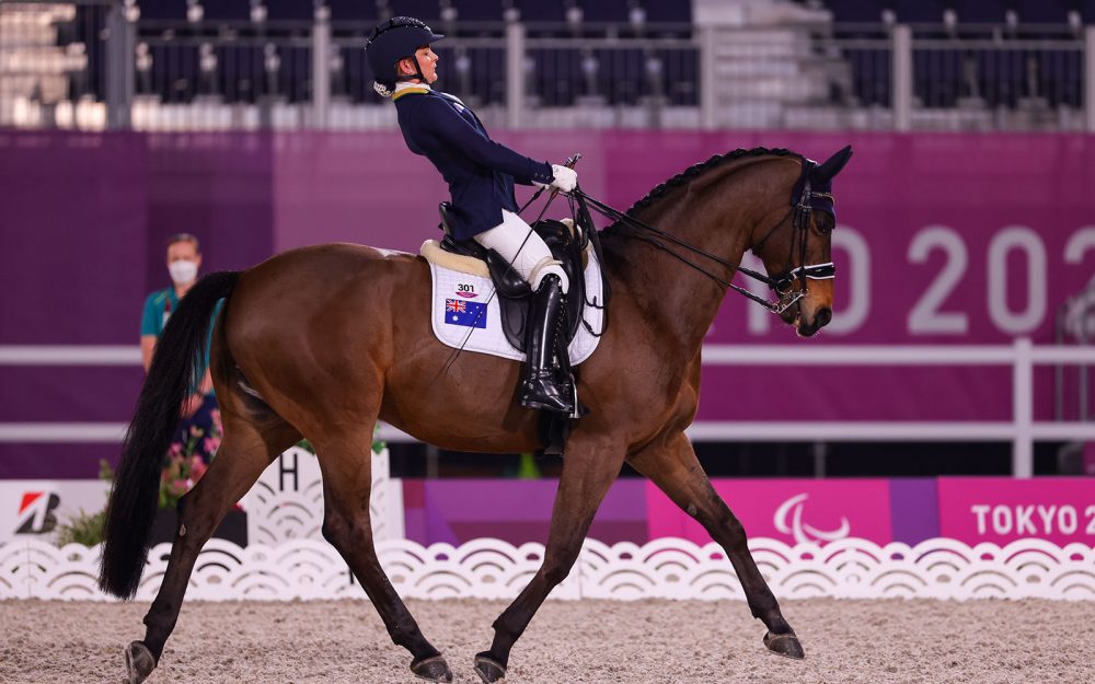 a female equestrian is riding a brown horse