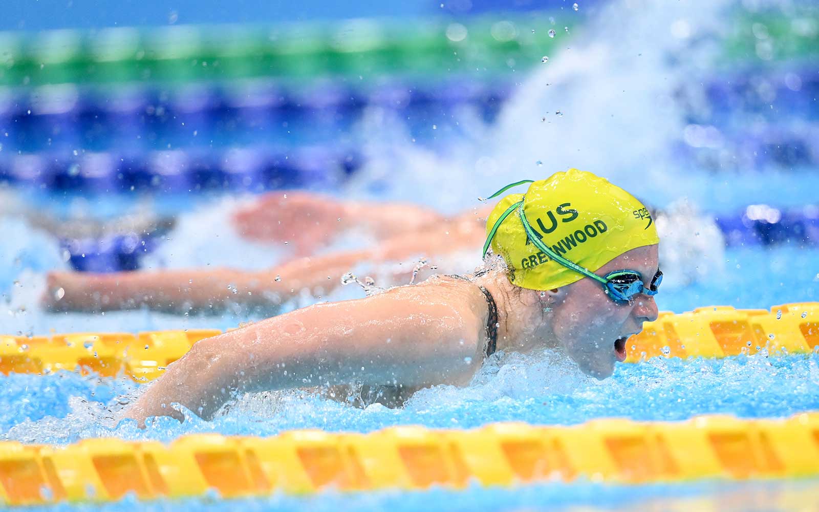 Our Swimmers Prepare For Final Foray